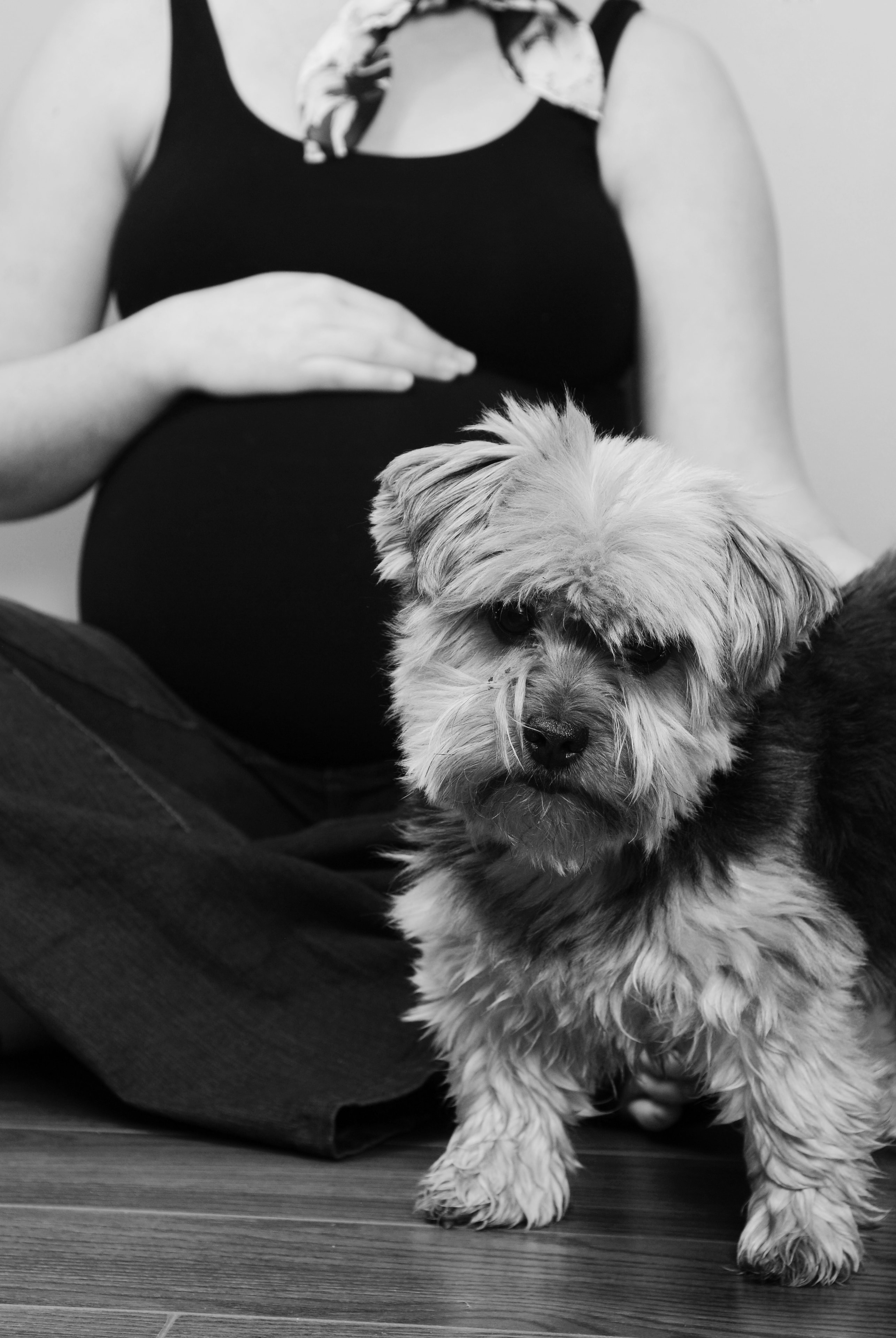 Pregnant woman with fluffy dog