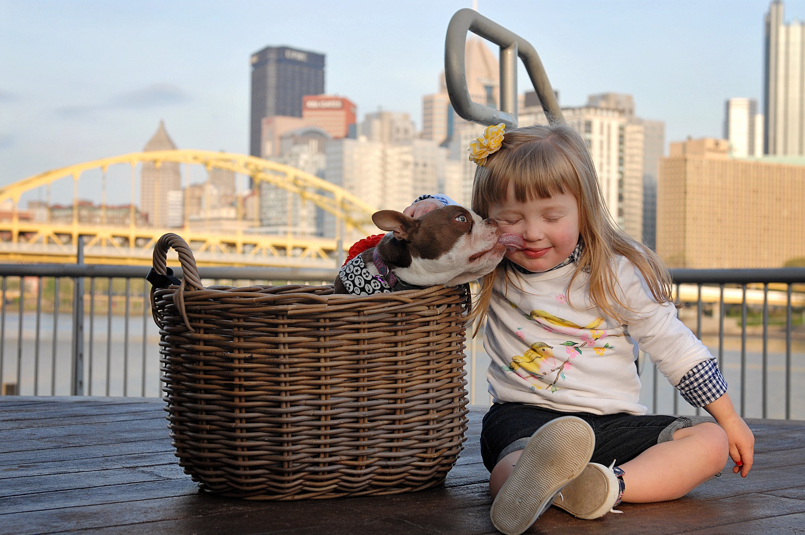 Girl with dog in basket, city skyline