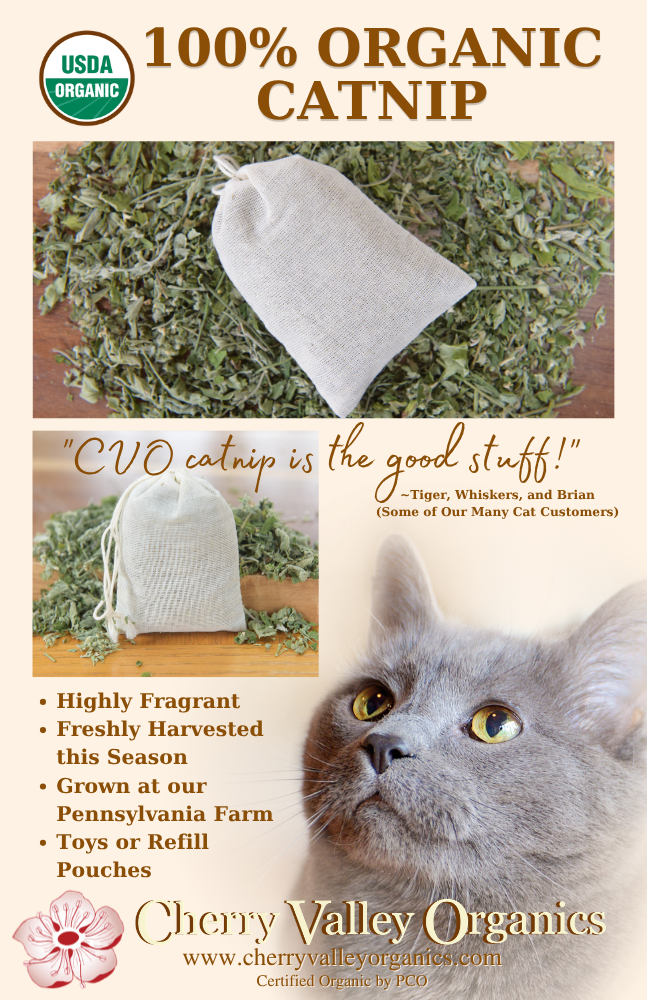 Catnip Product