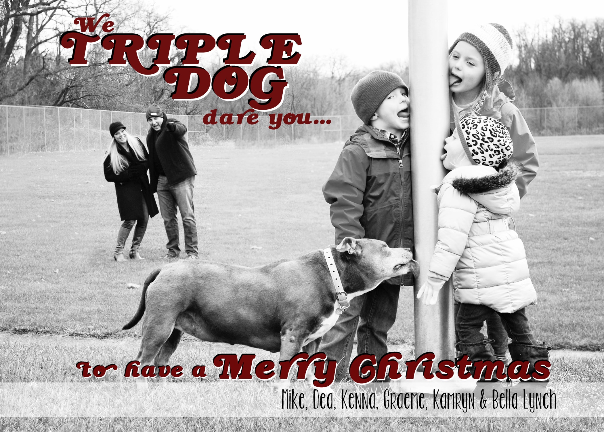 Family Christmas card with dog