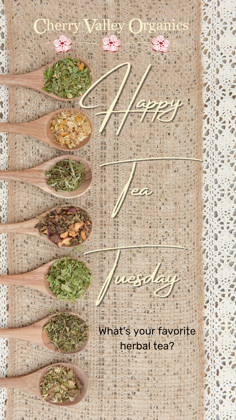 Happy Tuesday