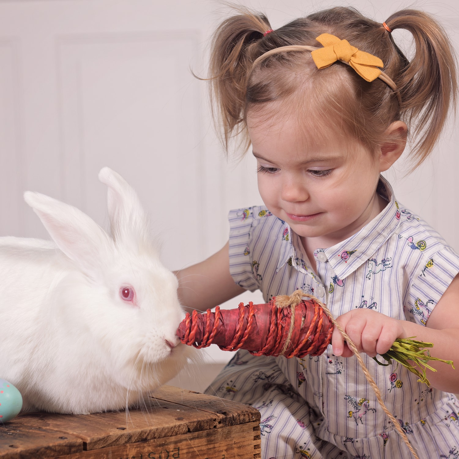 Toddler girl feeding white rabbit hay